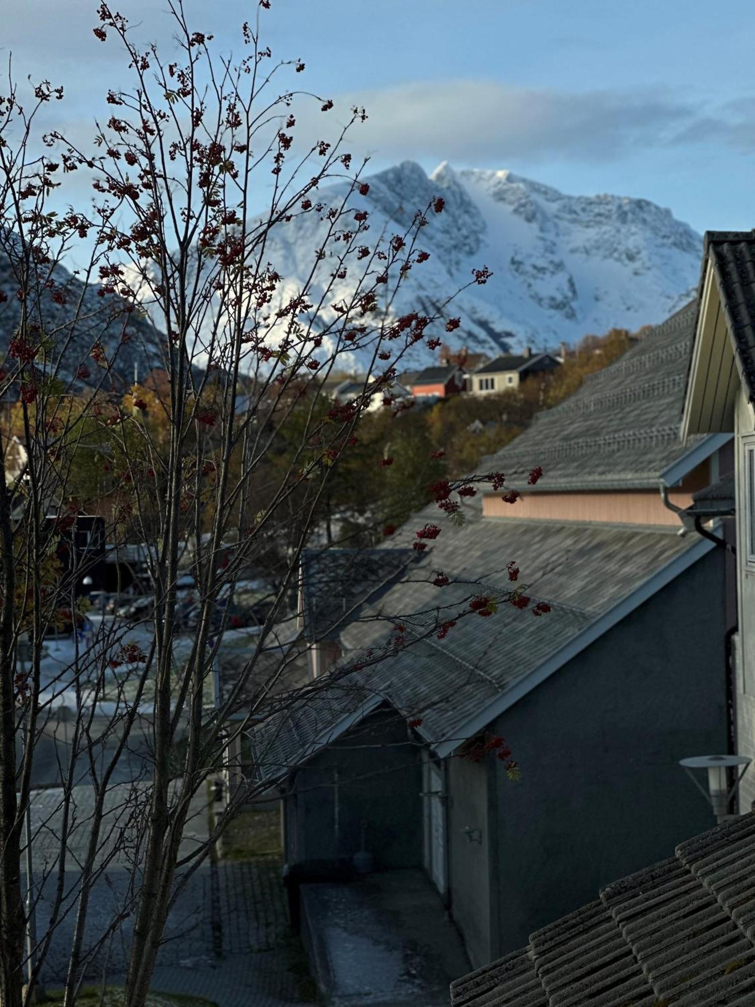 Hotell Maritim Skjervøy Kültér fotó